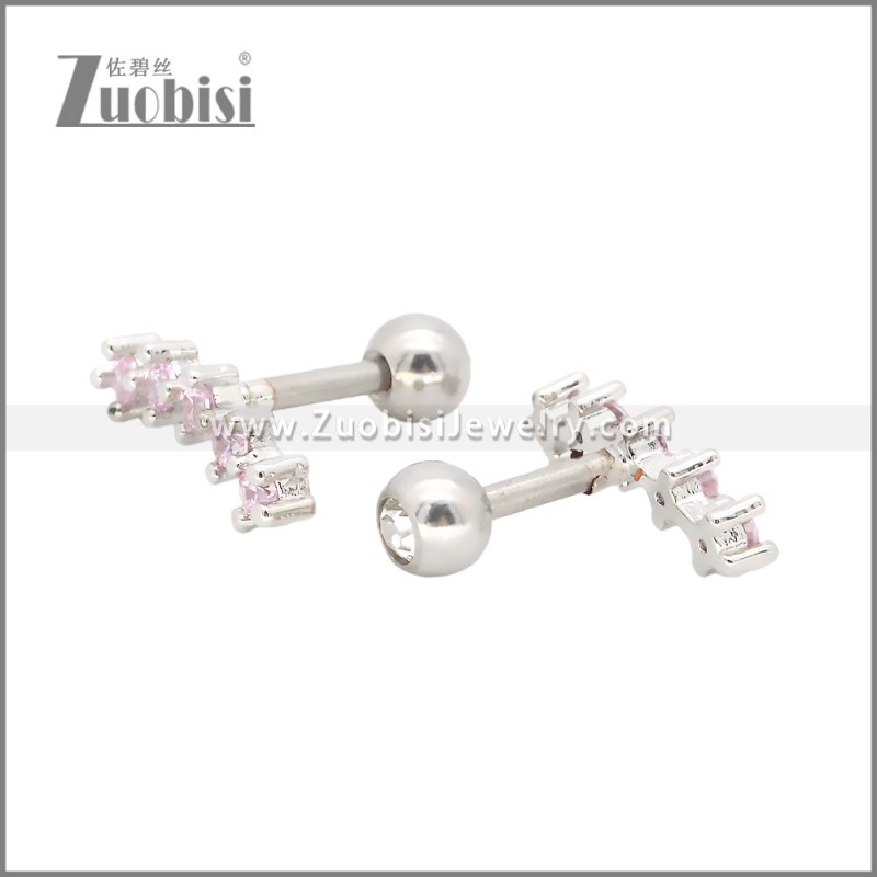 Stainless Steel Earrings e002407S2