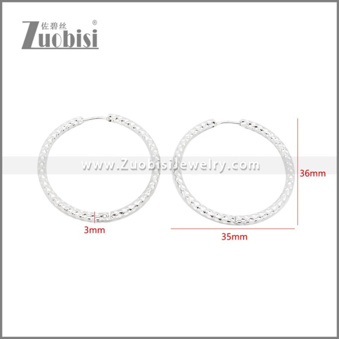 Stainless Steel Earrings e002386S