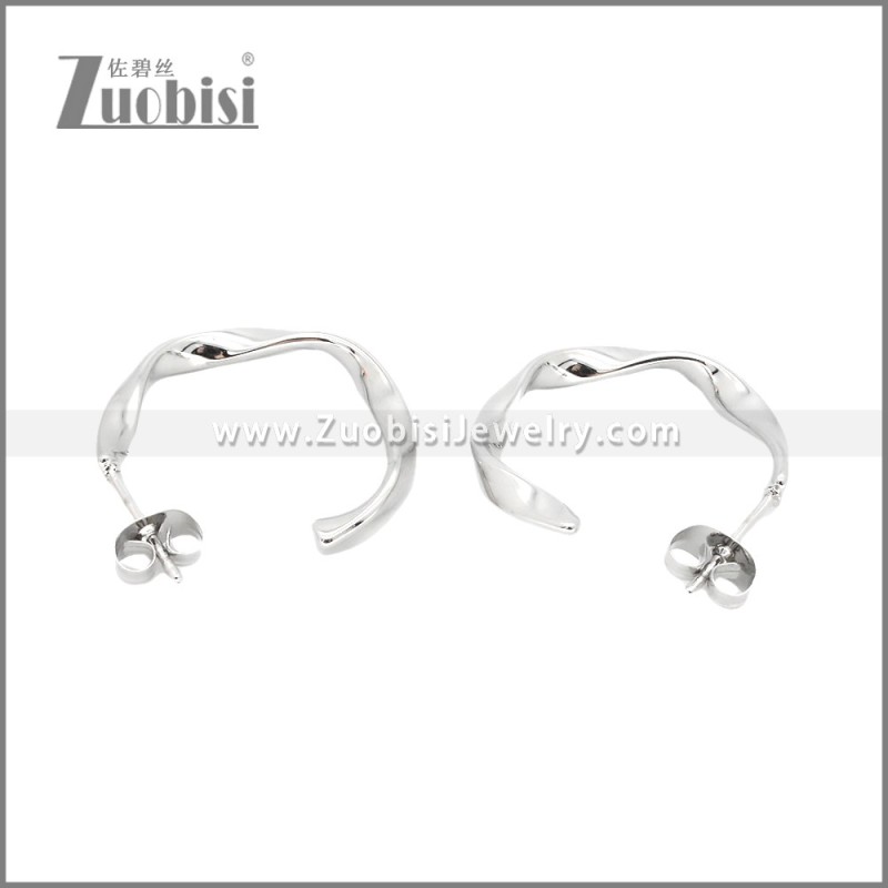 Stainless Steel Earrings e002381S