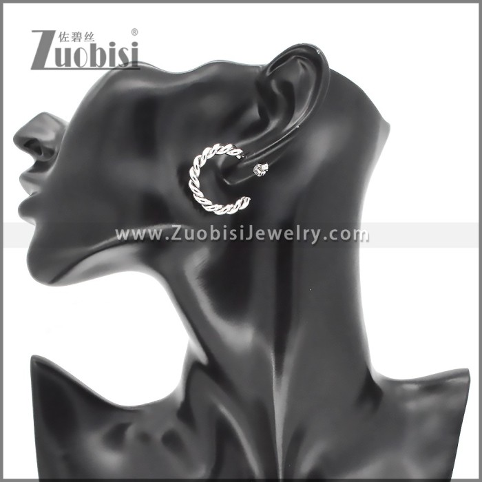 Stainless Steel Earrings e002373S