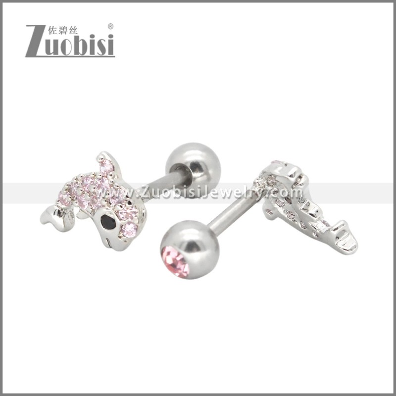 Stainless Steel Earrings e002411R