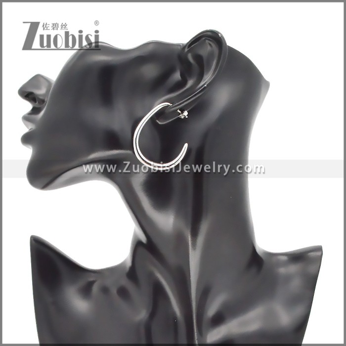 Stainless Steel Earrings e002374