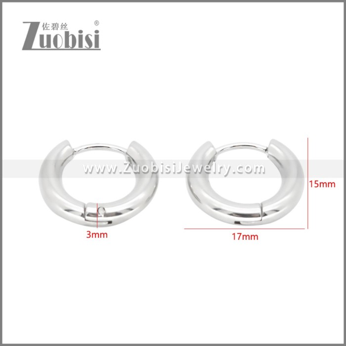 Stainless Steel Earrings e002385S