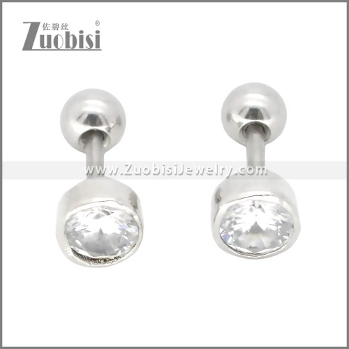 Stainless Steel Earrings e002399S