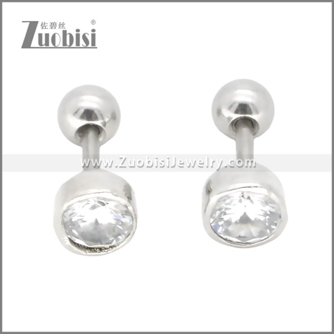 Stainless Steel Earrings e002399S