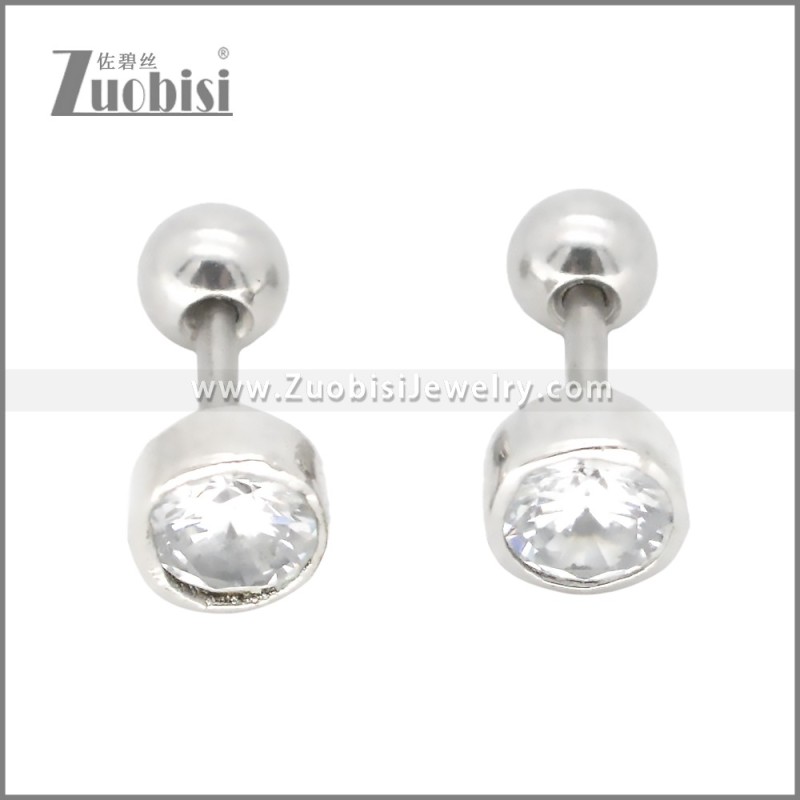 Stainless Steel Earrings e002399S