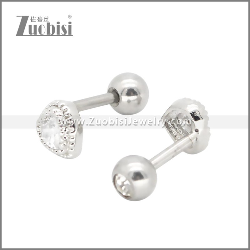 Stainless Steel Earrings e002403
