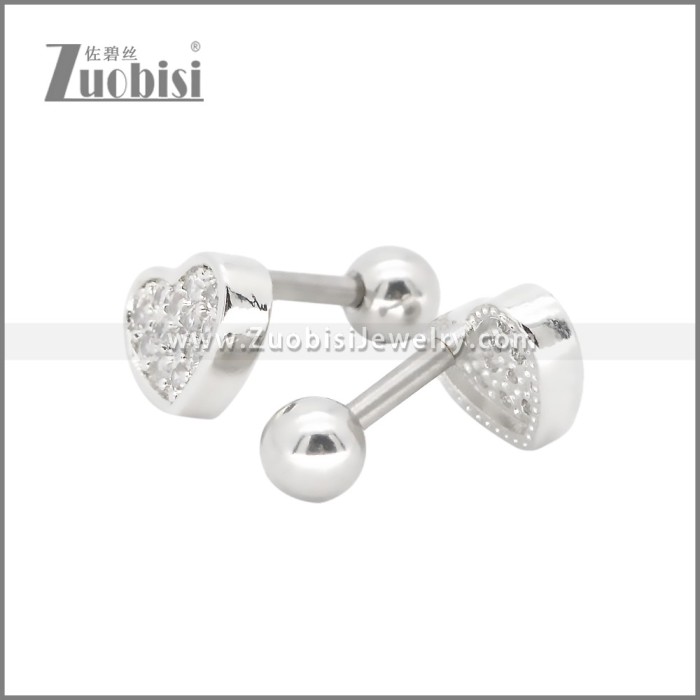 Stainless Steel Earrings e002395S