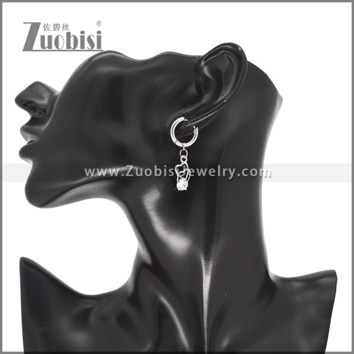 Stainless Steel Earrings e002437