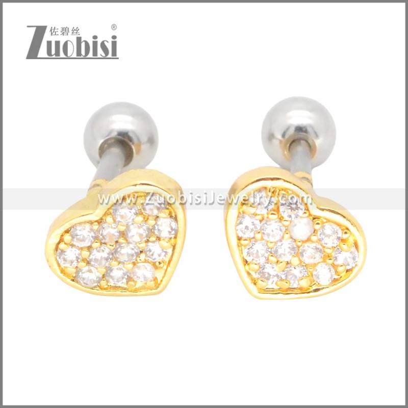 Stainless Steel Earrings e002398G