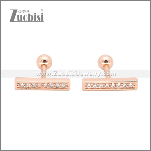 Stainless Steel Earrings e002401A