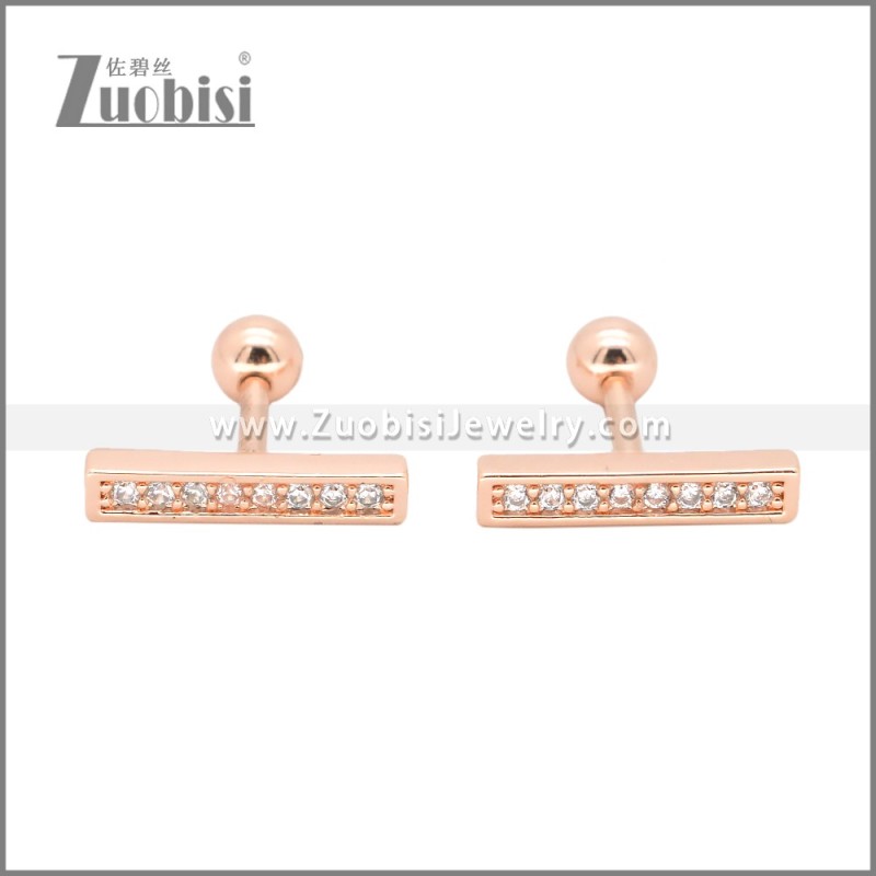 Stainless Steel Earrings e002401A