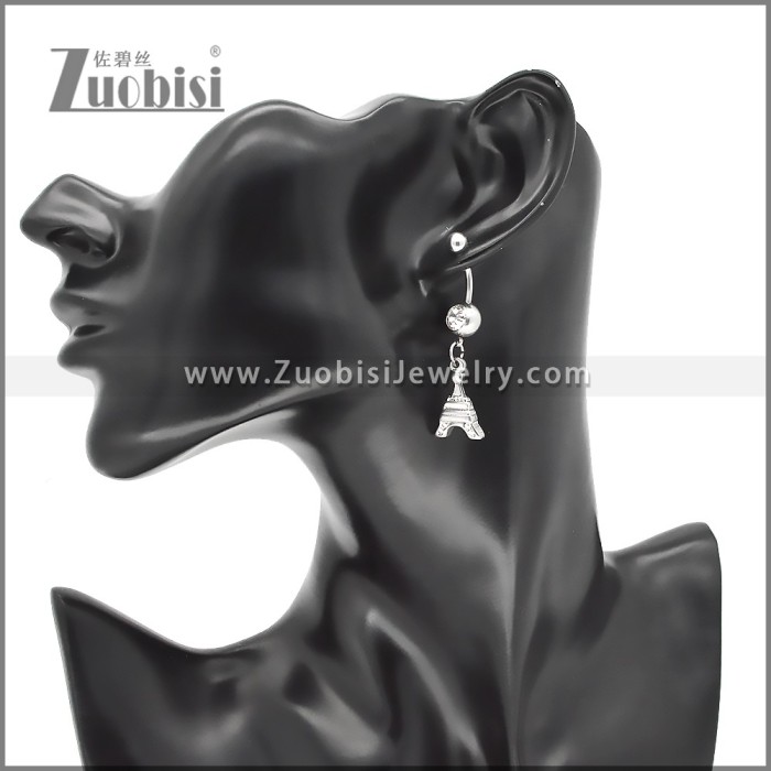 Stainless Steel Earrings e002429