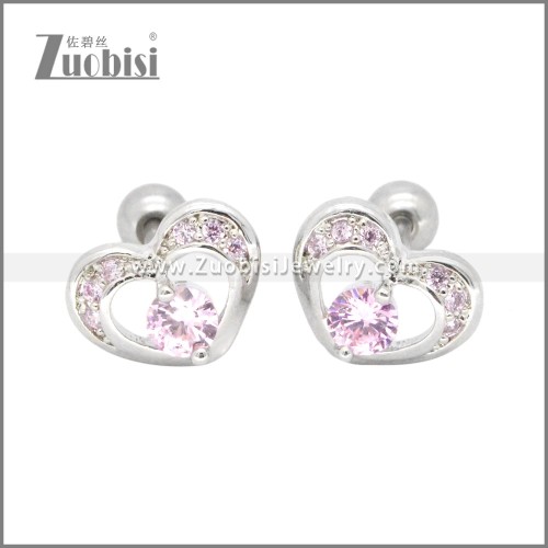 Stainless Steel Earrings e002406R