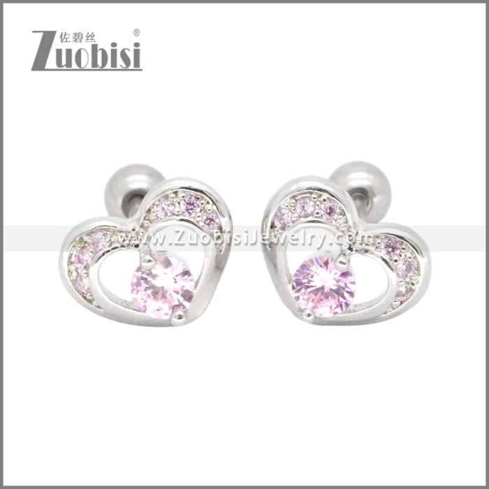 Stainless Steel Earrings e002406R