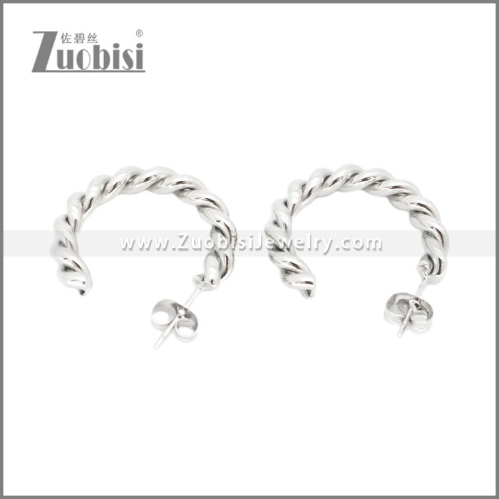 Stainless Steel Earrings e002373S