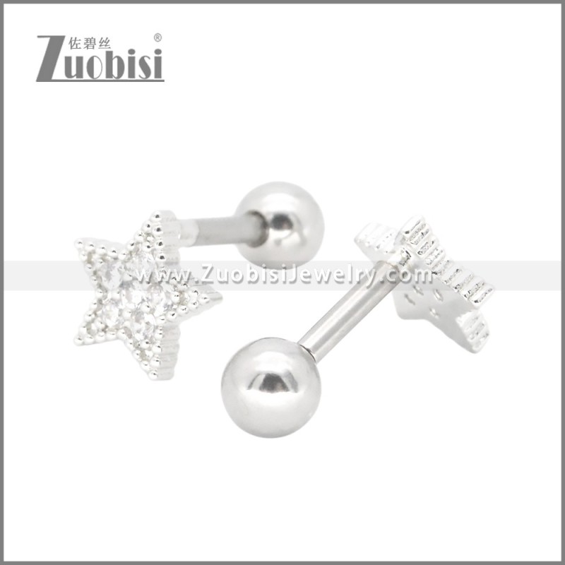 Stainless Steel Earrings e002377S