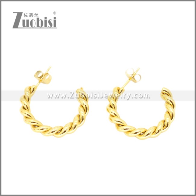 Stainless Steel Earrings e002373G