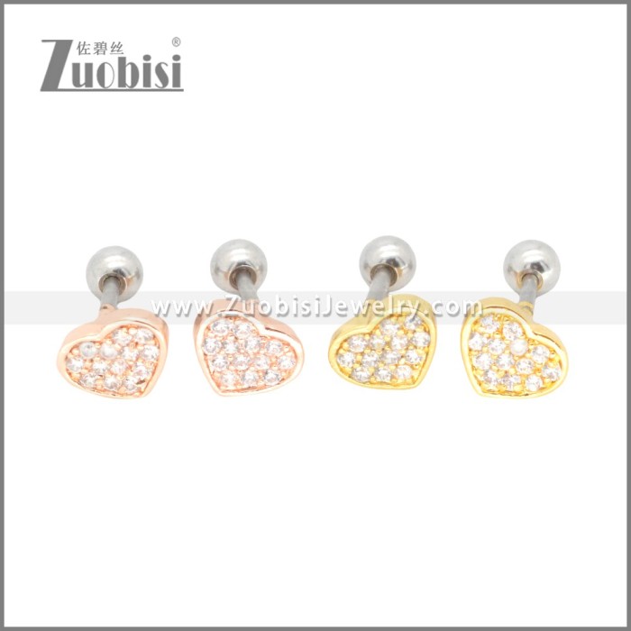 Stainless Steel Earrings e002398G