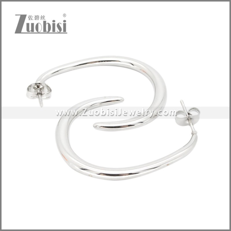 Stainless Steel Earrings e002374