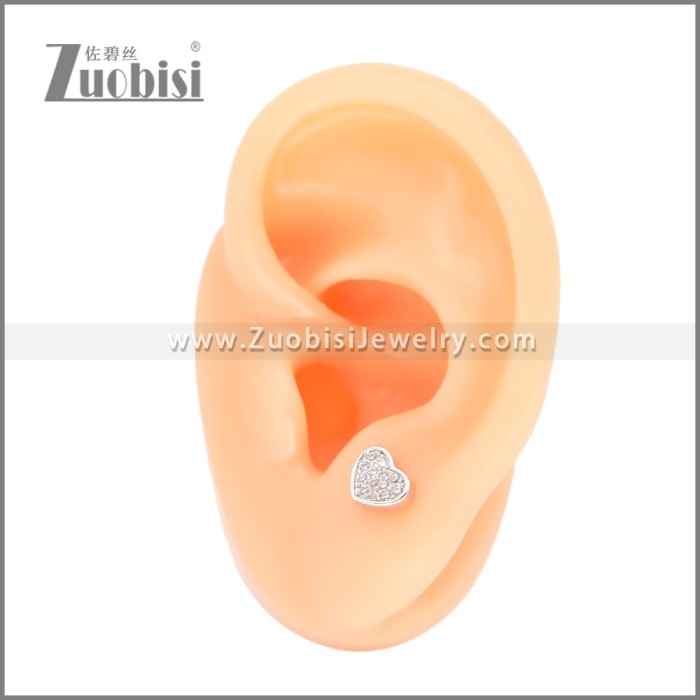 Stainless Steel Earrings e002395S