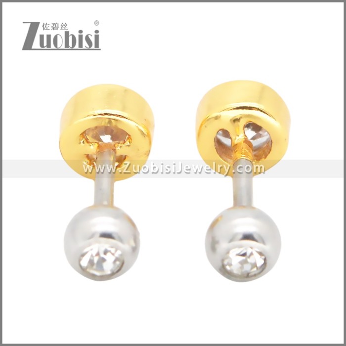 Stainless Steel Earrings e002399G