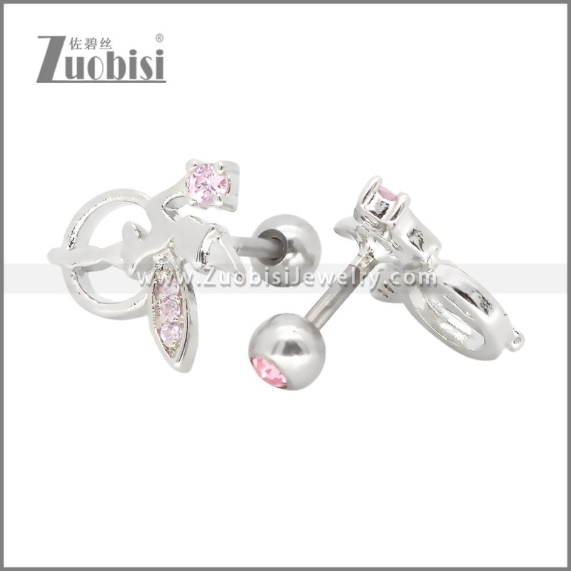 Stainless Steel Earrings e002397R