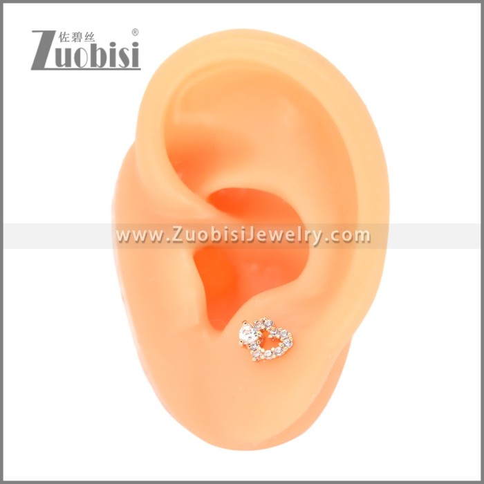 Stainless Steel Earrings e002413A