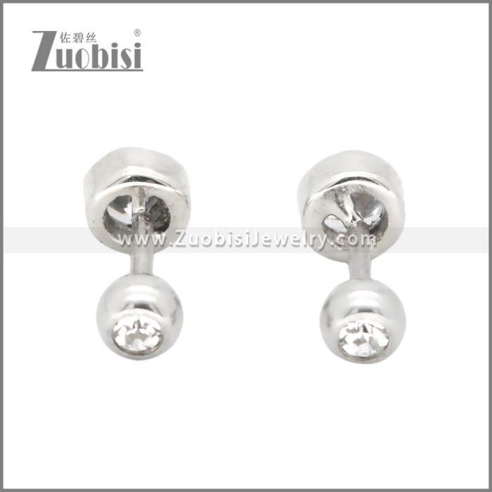 Stainless Steel Earrings e002399S