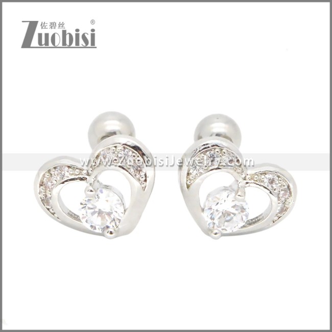 Stainless Steel Earrings e002406S