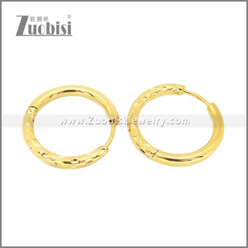 Stainless Steel Earrings e002378G