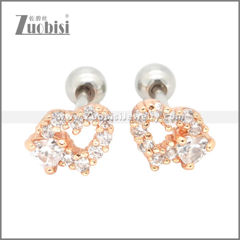 Stainless Steel Earrings e002413A