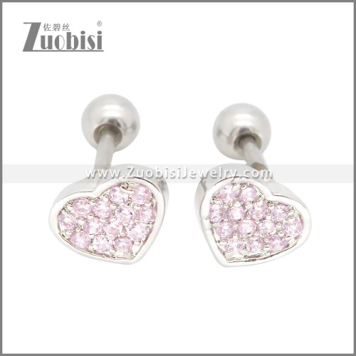 Stainless Steel Earrings e002395R