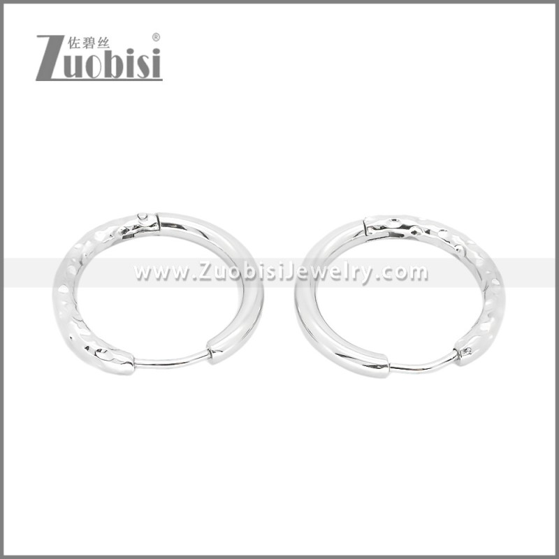 Stainless Steel Earrings e002378S