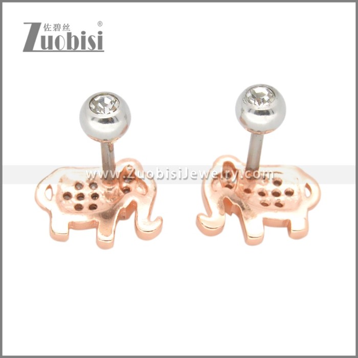 Stainless Steel Earrings e002400A