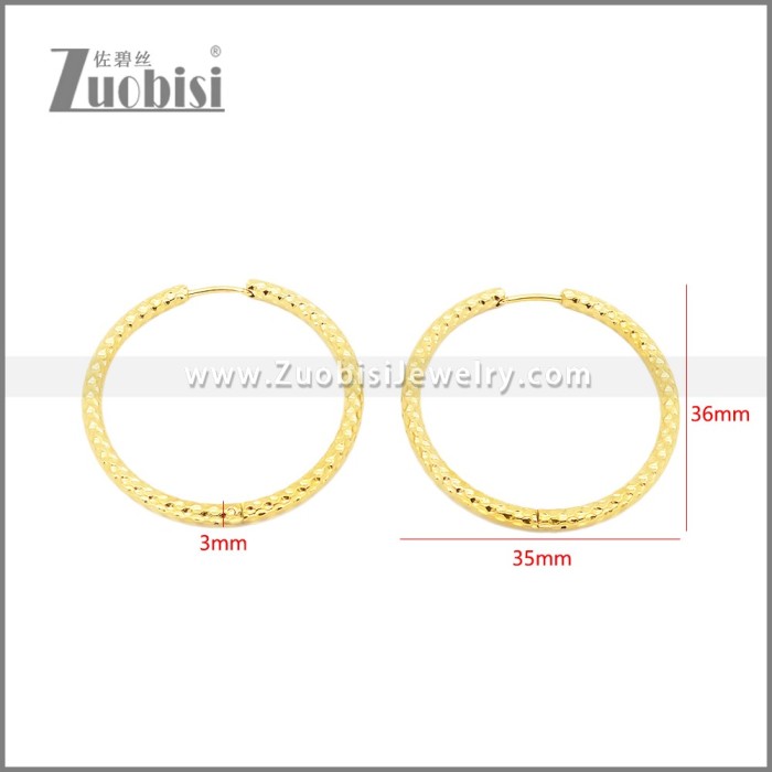 Stainless Steel Earrings e002386G
