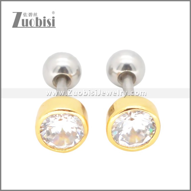 Stainless Steel Earrings e002399G
