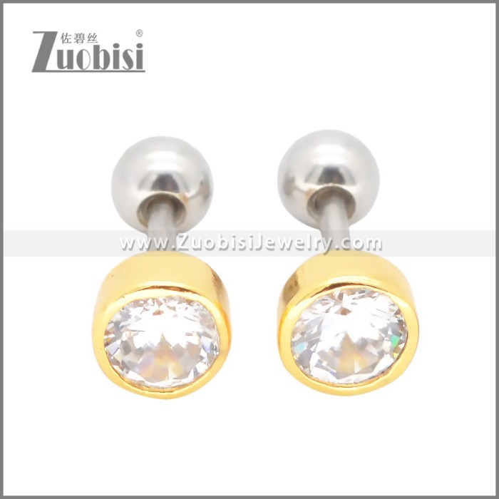 Stainless Steel Earrings e002399G