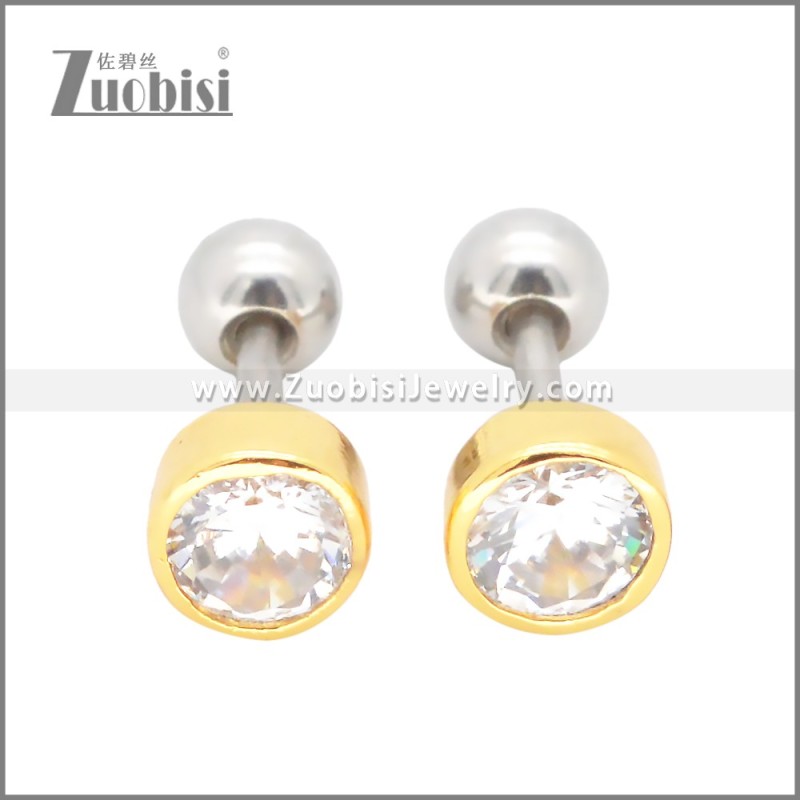 Stainless Steel Earrings e002399G