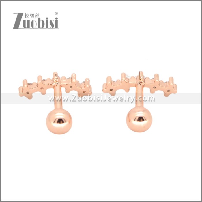 Stainless Steel Earrings e002409A