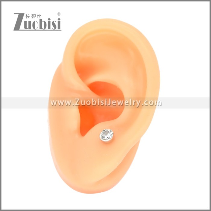 Stainless Steel Earrings e002399S