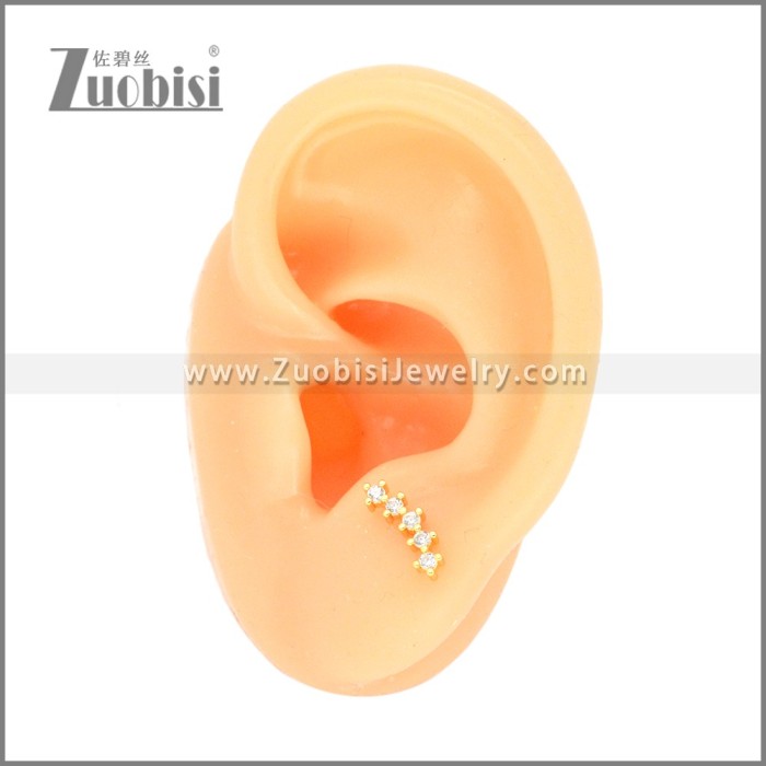 Stainless Steel Earrings e002409G