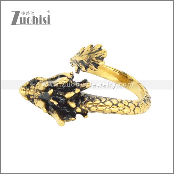 Stainless Steel Ring r009916GH