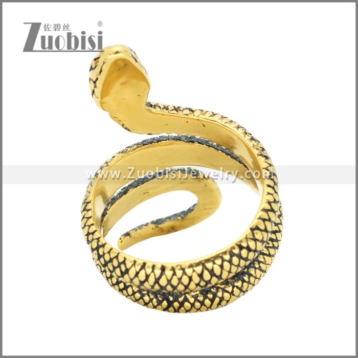 Stainless Steel Ring r009914GH