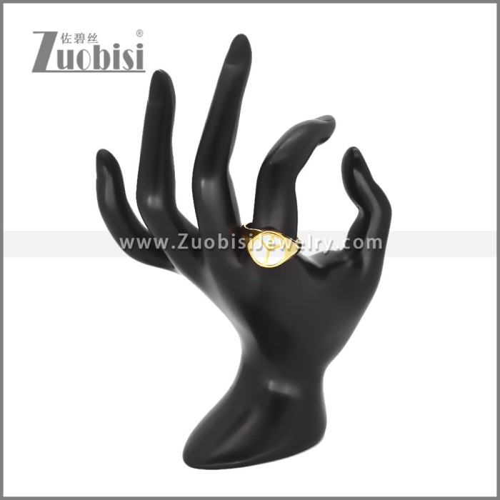 Stainless Steel Ring r009910GS
