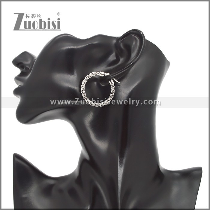 Stainless Steel Earrings e002459S