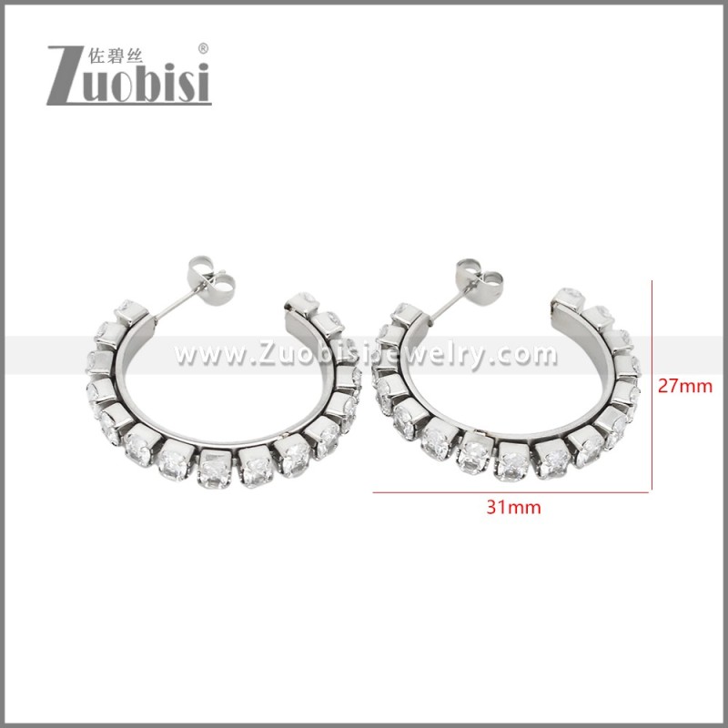 Stainless Steel Earrings e002449S
