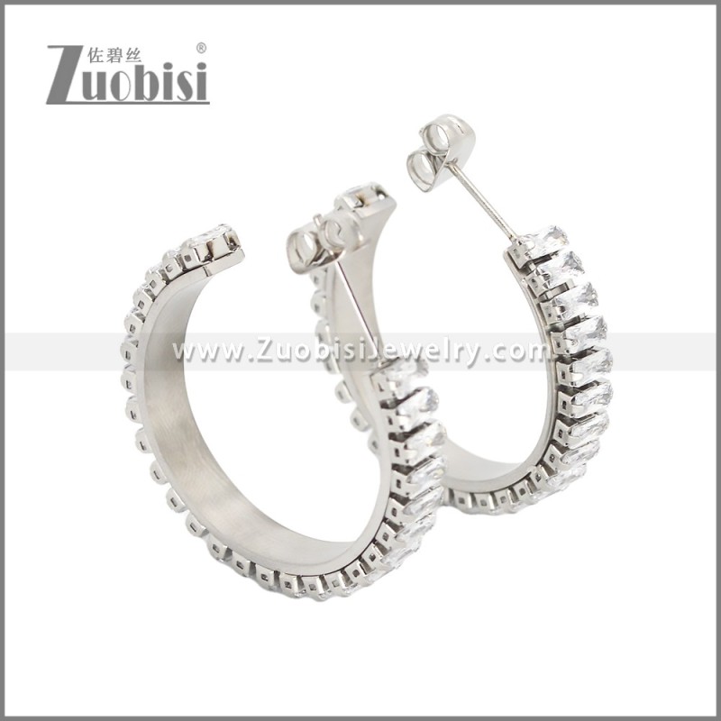 Stainless Steel Earrings e002448S