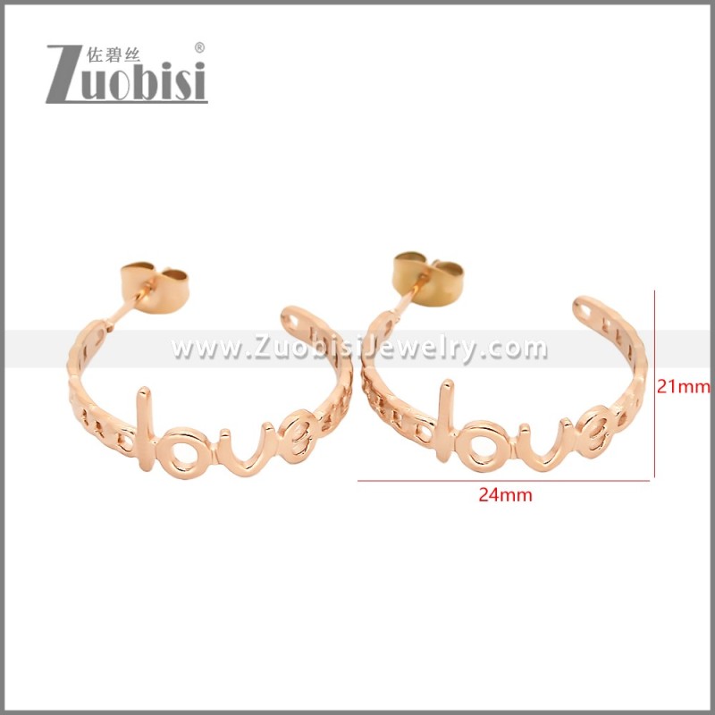 Stainless Steel Earrings e002455R