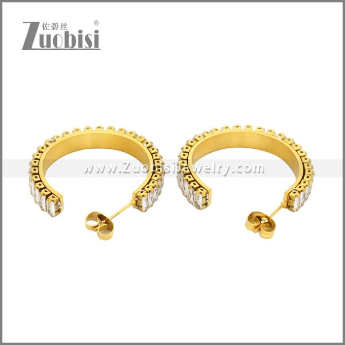 Stainless Steel Earrings e002448G